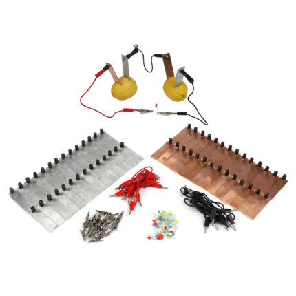 Fruit Battery Kit from Hope Education