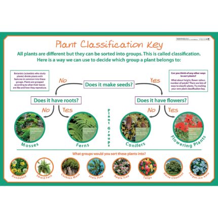 wildgoose Classifying Plants Poster