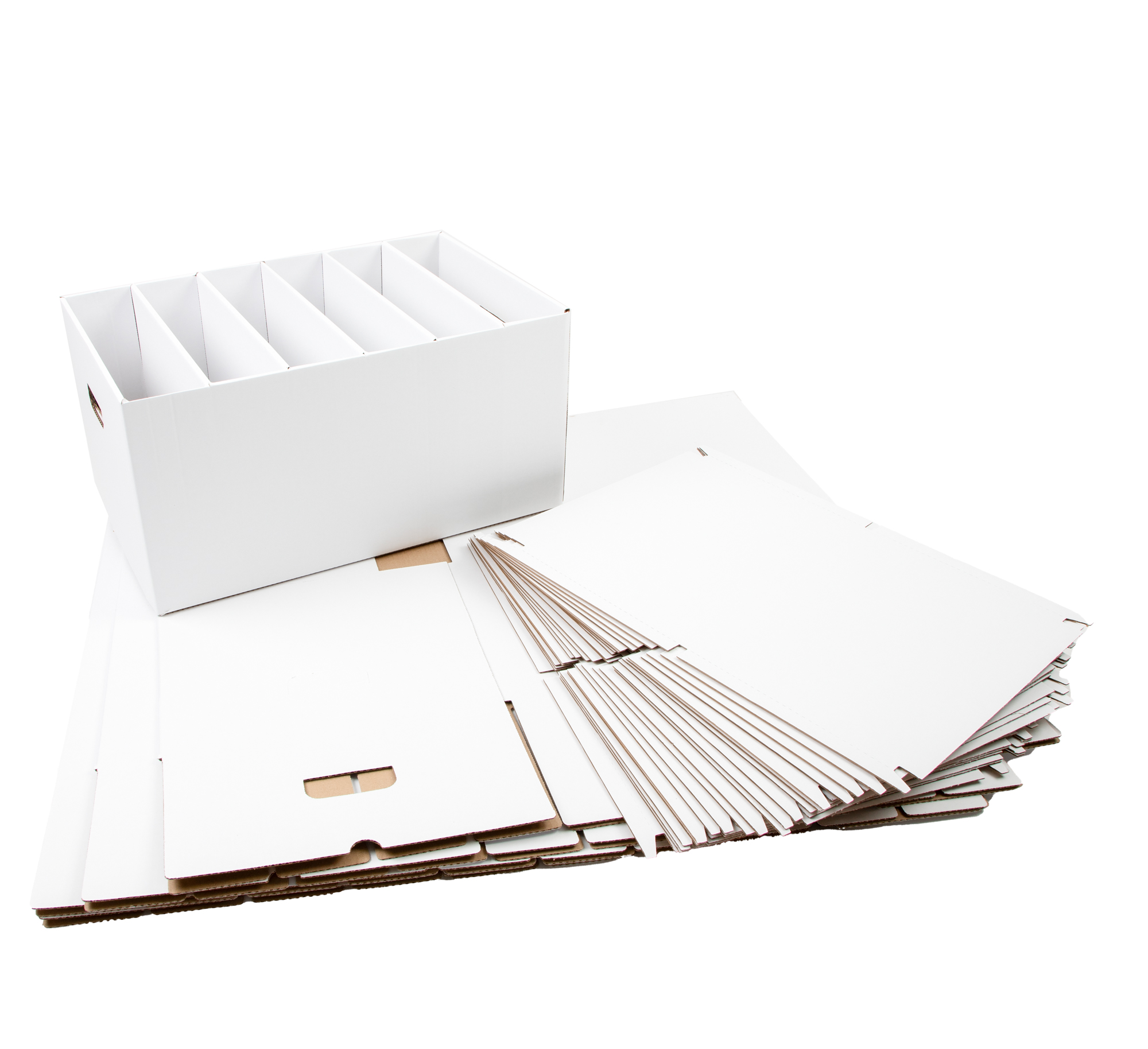 Profile_Education_A4_Lever_Arch_Filing_Module_White__Pack_of_5TN6960982_2__ICD4jSdsU.jpg