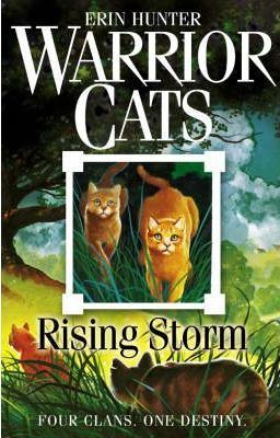 Rising Storm (Warriors, Book 4)