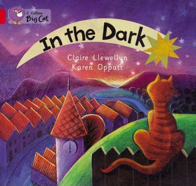 In the Dark: Band 02A/Red A (Collins Big Cat)
