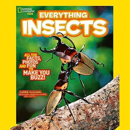 Everything: Insects (National Geographic Kids)