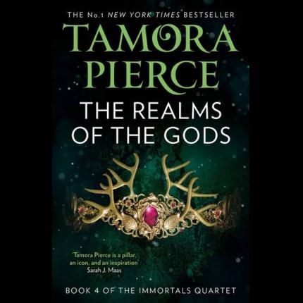 The Realms of the Gods (The Immortals, Book 4)