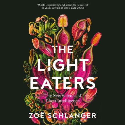 The Light Eaters