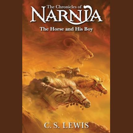 Narnia 3: The Horse and His Boy (2025 ed)