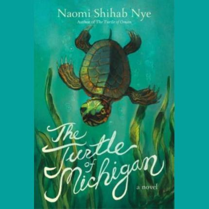 The Turtle of Michigan: A Novel