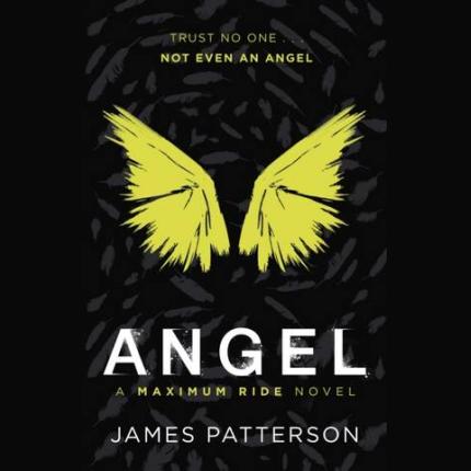 Maximum Ride 7: Angel
