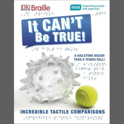 DK Braille It Can’t Be True!
