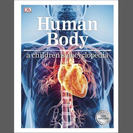 Human Body A Children’s Encyclopedia