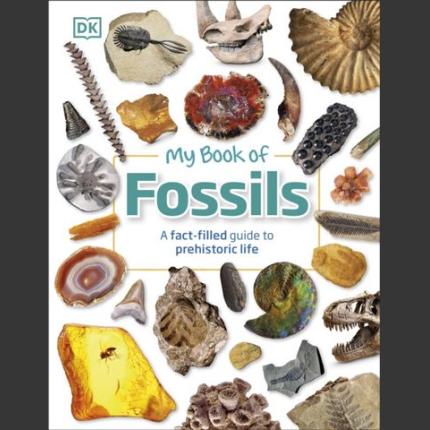 My Book of Fossils: A fact-filled guide to prehistoric life