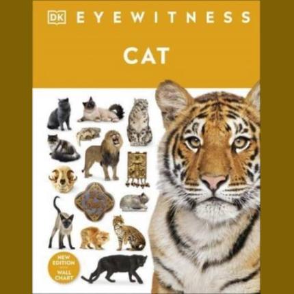 DK Eyewitness: Cat