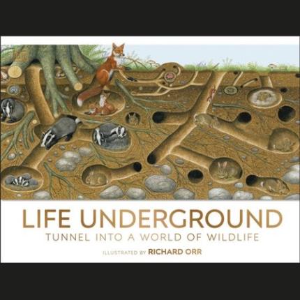 Life Underground: Tunnel into a World of Wildlife