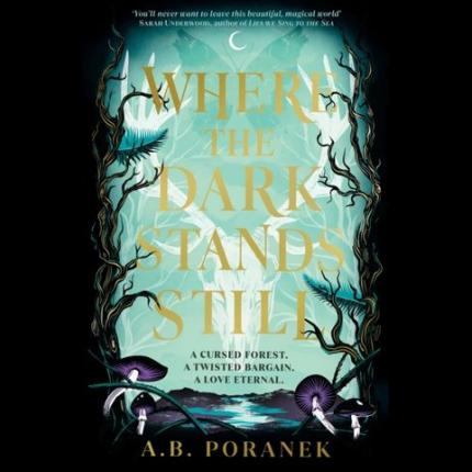 Where the Dark Stands Still