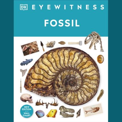 DK Eyewitness: Fossil