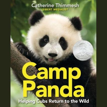 Camp Panda: Helping Cubs Return to the Wild