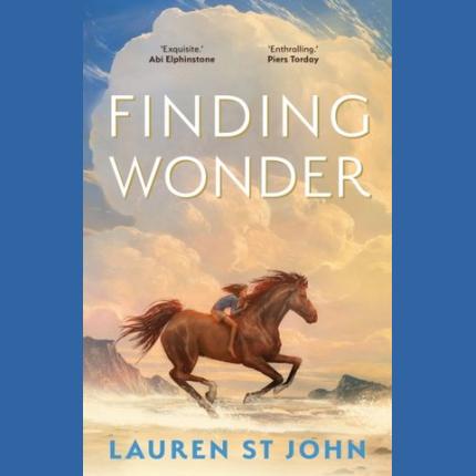 Finding Wonder