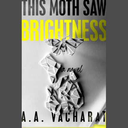 This Moth Saw Brightness