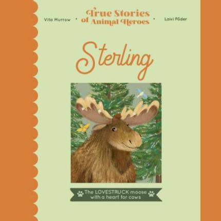 Sterling: The lovestruck moose with a heart for cows