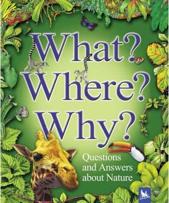 What? Where? Why?