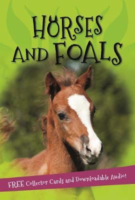 It’s all about… Horses and Foals