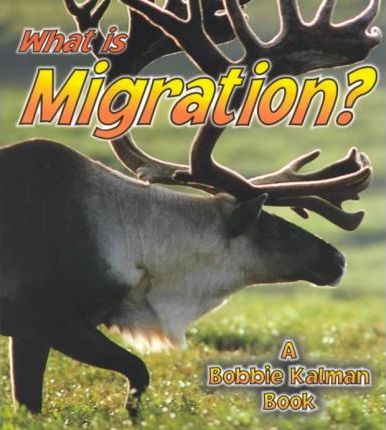 What is Migration?
