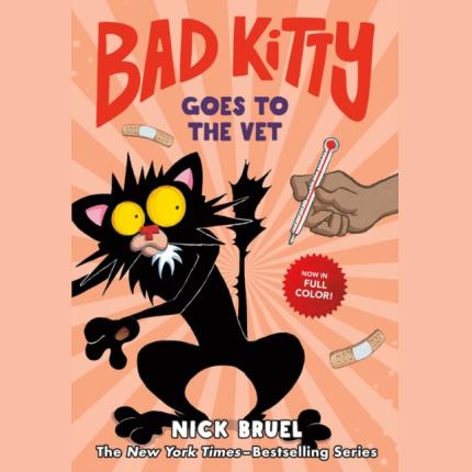 Bad Kitty Goes to the Vet