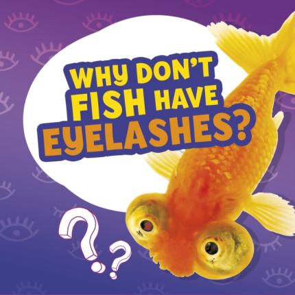 Why Don’t Fish Have Eyelashes?