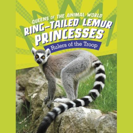 Ring-Tailed Lemur Princesses: Rulers of the Troop