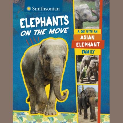 Elephants on the Move: A Day with an Asian Elephant Family