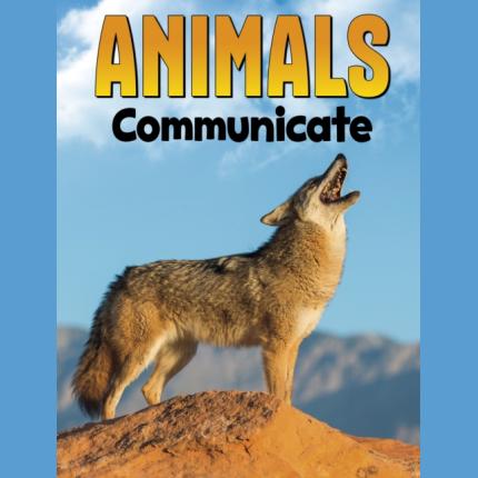 Animals Communicate