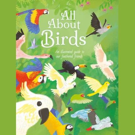 All About Birds: An Illustrated Guide to Our Feathered Friends