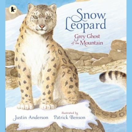 Snow Leopard: Grey Ghost of the Mountain