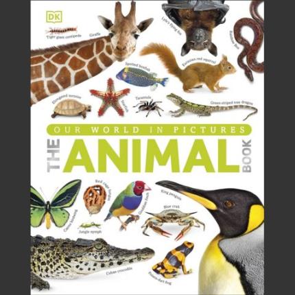Our World in Pictures The Animal Book