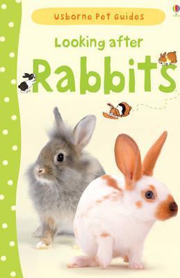 Looking After Rabbits
