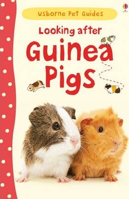 Looking After Guinea Pigs