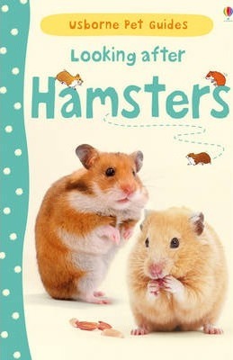 Looking after Hamsters