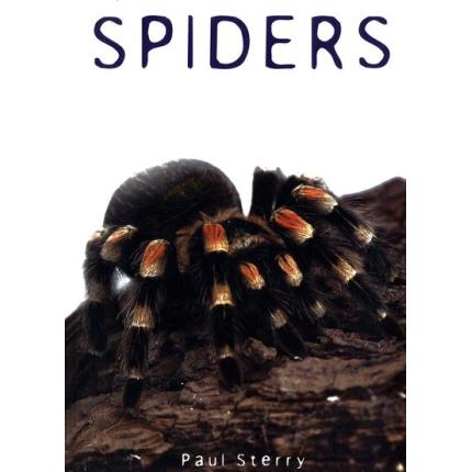 Spiders