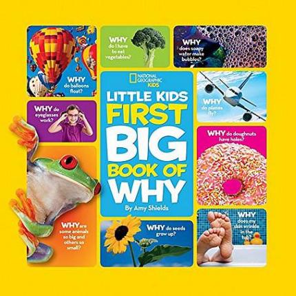 Little Kids First Big Book of Why