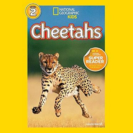 NG Readers L2 (US): Cheetahs