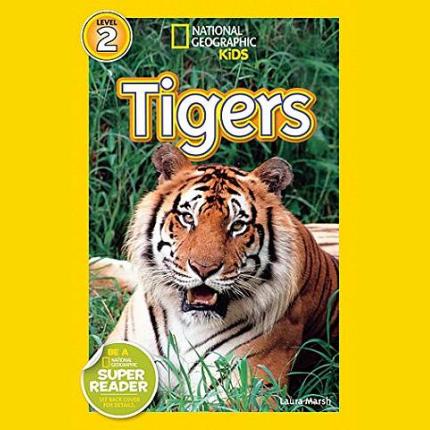 NG Readers L2 (US): Tigers