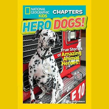 NGK Chapters: Hero Dogs