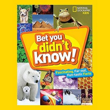 Bet You Didn’t Know! (Fun Facts)