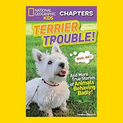 NGK Chapters: Terrier Trouble!