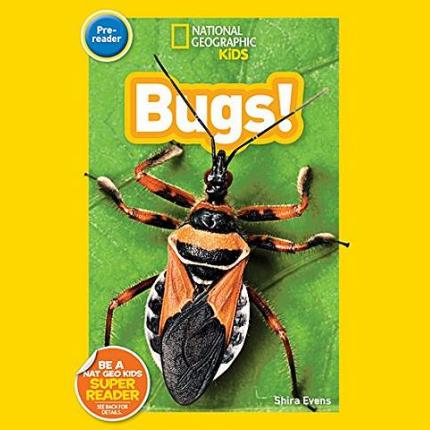 NG Readers Pre-Reader (US): Bugs