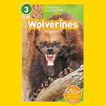 NG Readers L3 (US): Wolverines