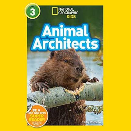NG Readers L3 (US): Animal Architects