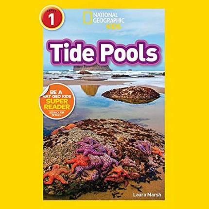NG Readers L1 (US): Tide Pools