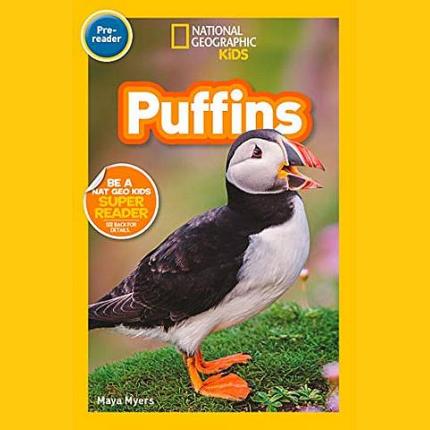 NG Readers Pre-Reader (US): Puffins