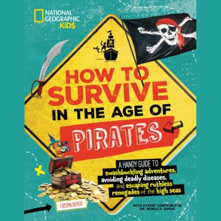 How to Survive in the Age of Pirates