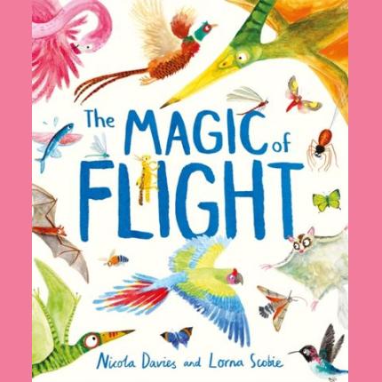 The Magic of Flight: Discover birds, bats, butterflies and more in this incredible book of flying creatures